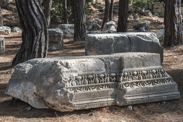 Temple fragments with plant ornaments