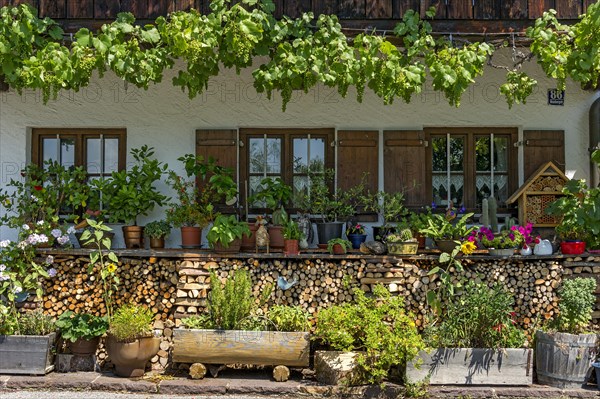 Farmhouse with flowers and vines