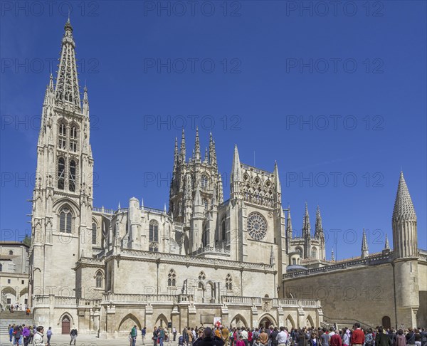 Burgos Cathedral