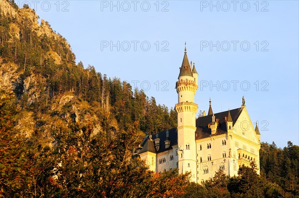 Neuschwanstein Castle in the evening light