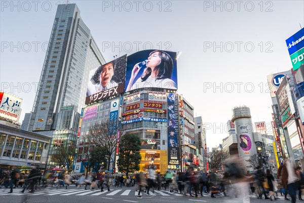 Shibuya Crossing