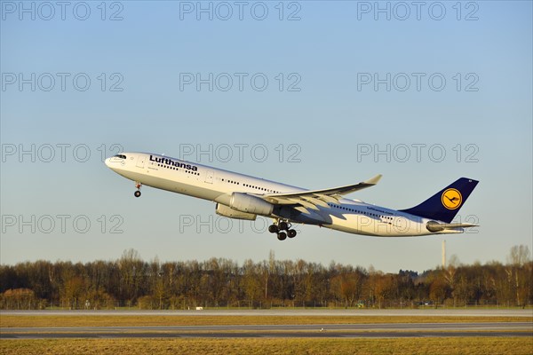 Lufthansa Airbus 330 taking off