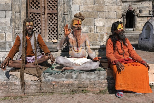 Sadhus