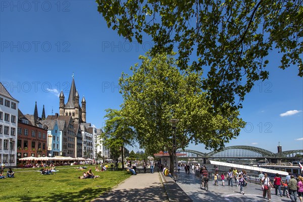 Rhine Promenade