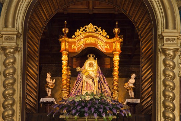 Patron saint of the Canary Islands