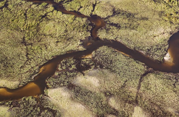 Freshwater marshes with sandy streams and channels
