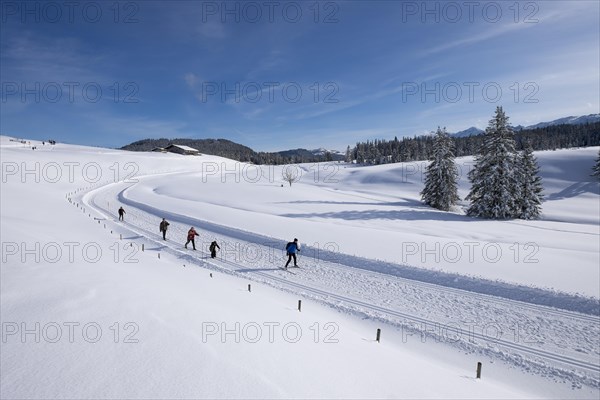 Cross-country ski run