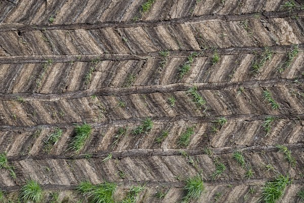 Wall made of peat