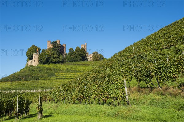 Schloss Ortenberg castle