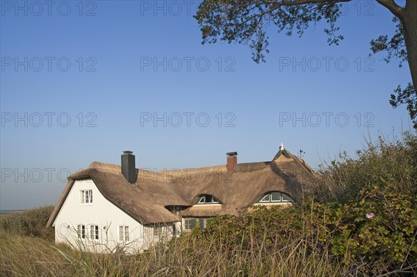 Thatched cottage behind the dunes