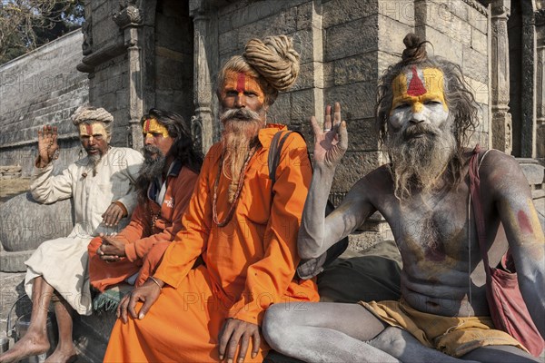 Sadhus