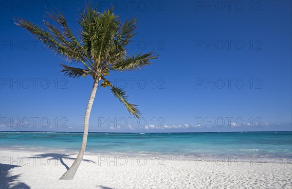 Caribbean beach