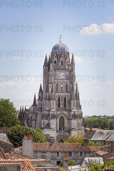 The Cathedrale Saint Pierre