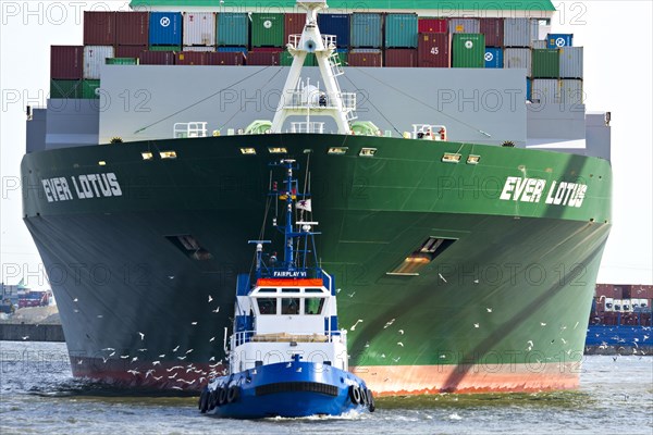 Containership Ever Lotus being towed by tug boat