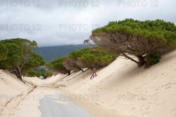 Wandering dune of Bolonia