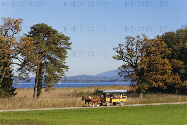 Horse drawn carriage on Herreninsel island