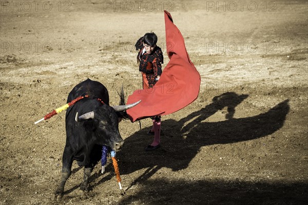 Bullfighter after a ""Veronica"" in the arena