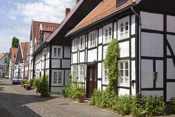 Half-timbered houses in the old town