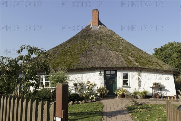 Thatched cottage