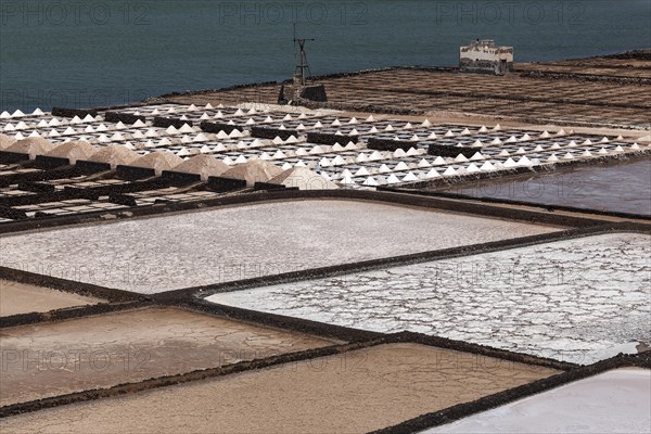 Sea salt production