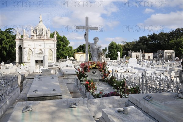 Grave of Amelia Goyri