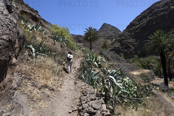 Hiking trail in the Barranco de Arure