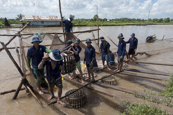 Fish farm