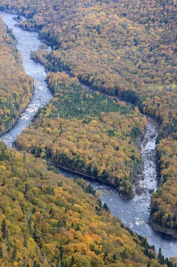 River and autumnal forest