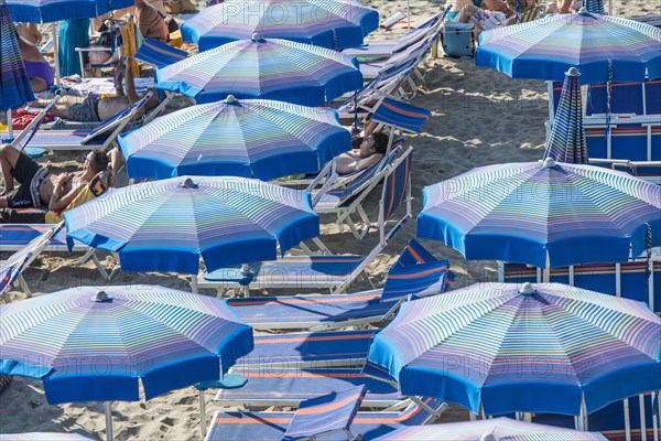 Rows of parasols on the beach