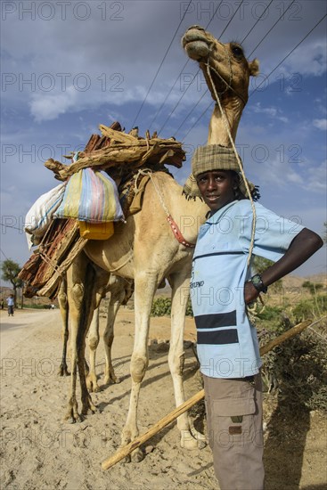 Proud boy posing with his camel