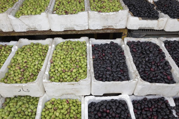 Green and black olives in crates