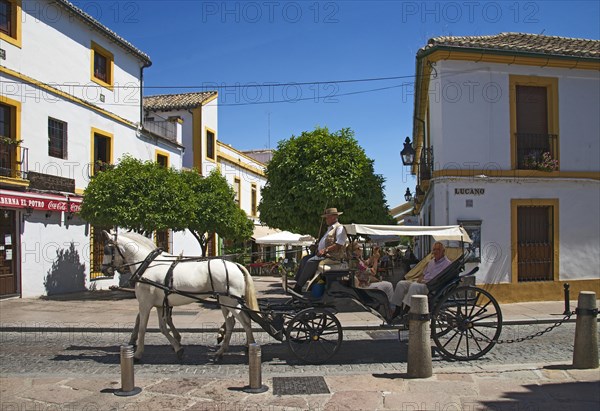 Carriage in the old town