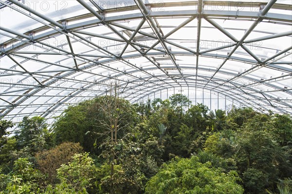 Masoala hall or Masoala kely