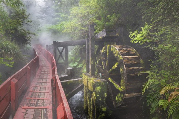 Old water wheel