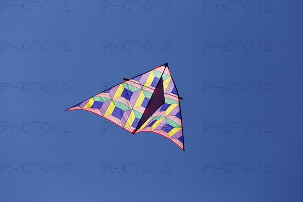 Kite