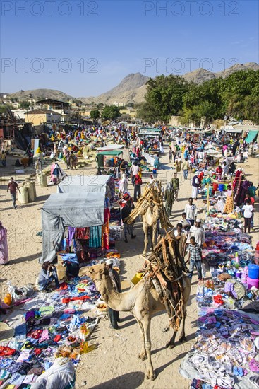 Loaded camel walking through the colourful Monday market of Keren