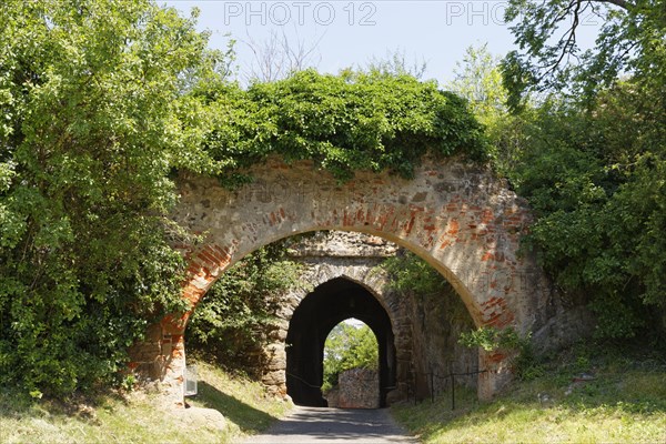 Castle gate