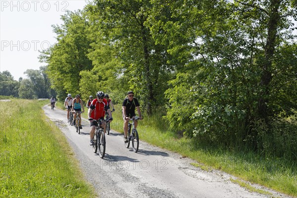 Cyclists on Lafnitztal bike path