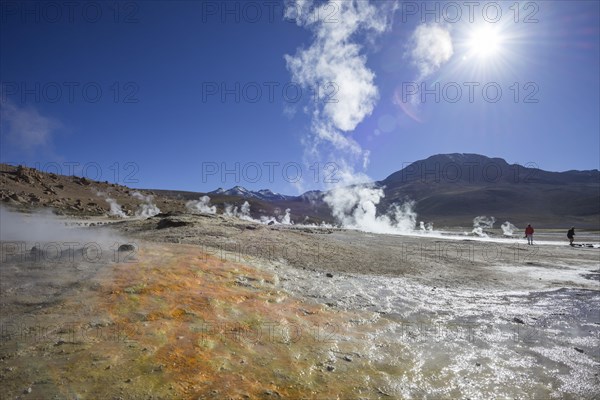 Sinter deposits at the Tatio Geysers