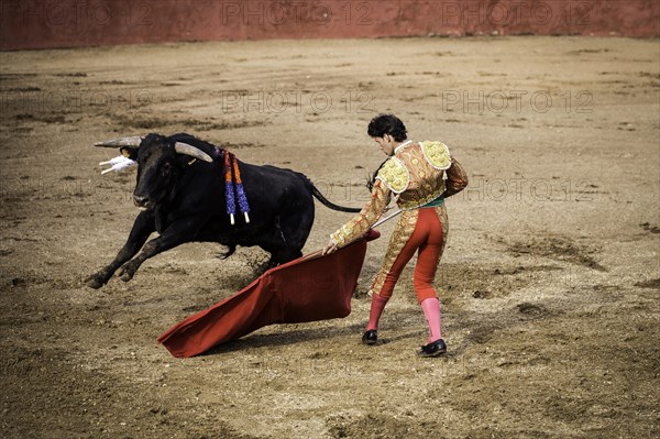 Bullfighting