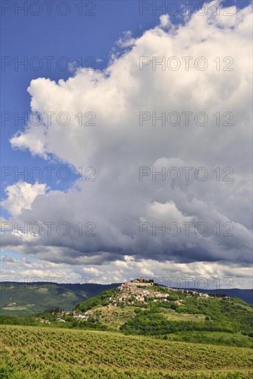 View across vineyards to the town with atmospheric clouds