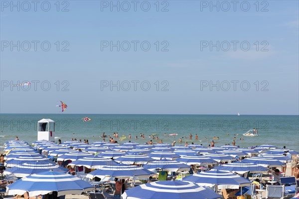 Bathers and parasols on the beach