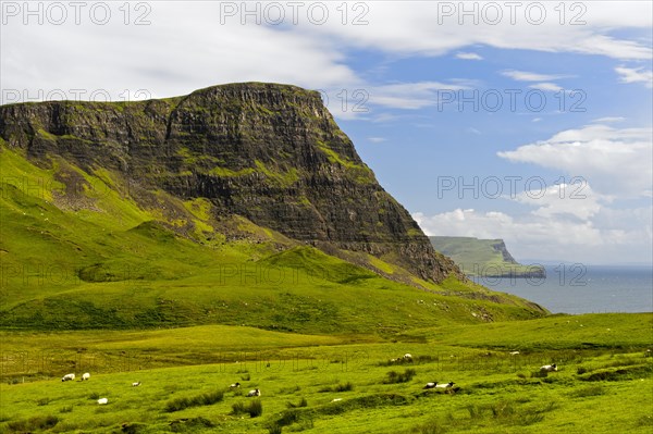 Coastline on the Duirinish peninsula