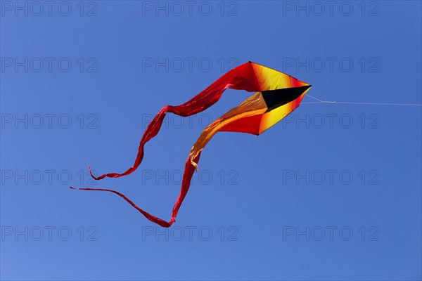 Kite