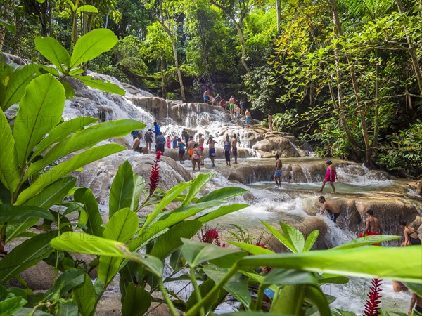 Tourists bathing and climbing the Dunn's River Falls