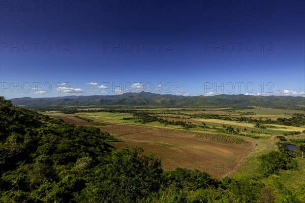 View from Mirador