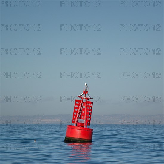 Buoy