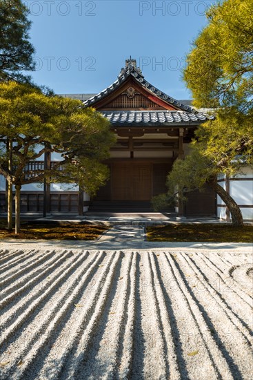 Rock garden