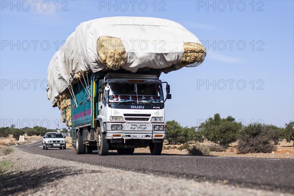 Straw being transported on a truck