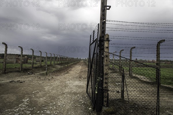 Barbed wire fences